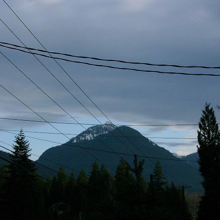 Mountain View Lodge - No Pets Allowed Packwood Esterno foto