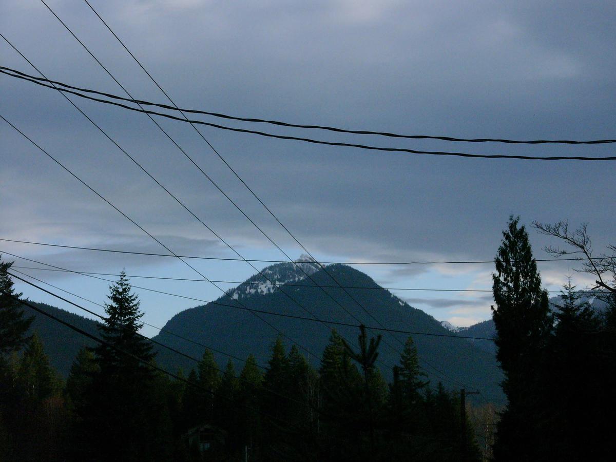 Mountain View Lodge - No Pets Allowed Packwood Esterno foto