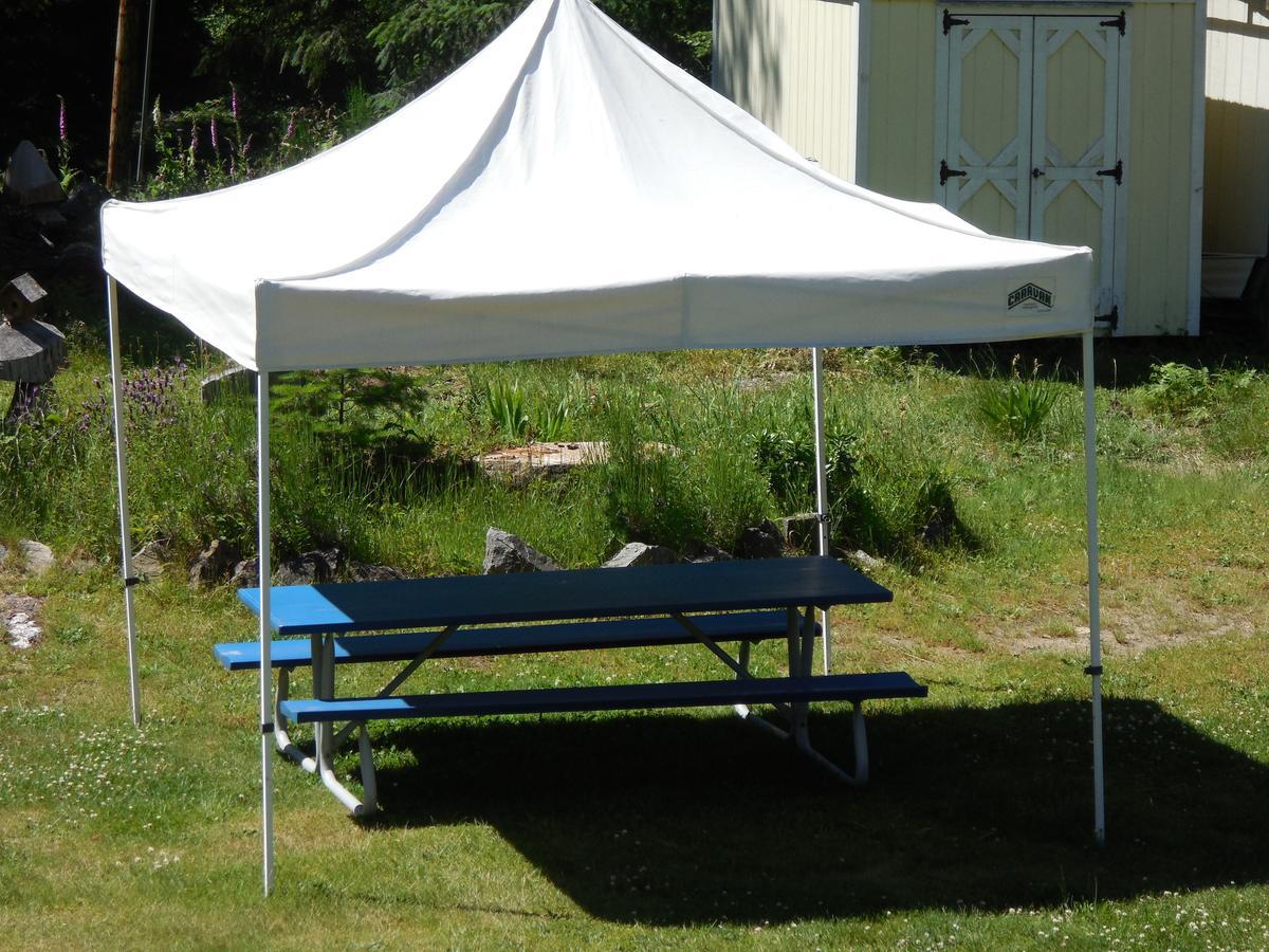 Mountain View Lodge - No Pets Allowed Packwood Esterno foto
