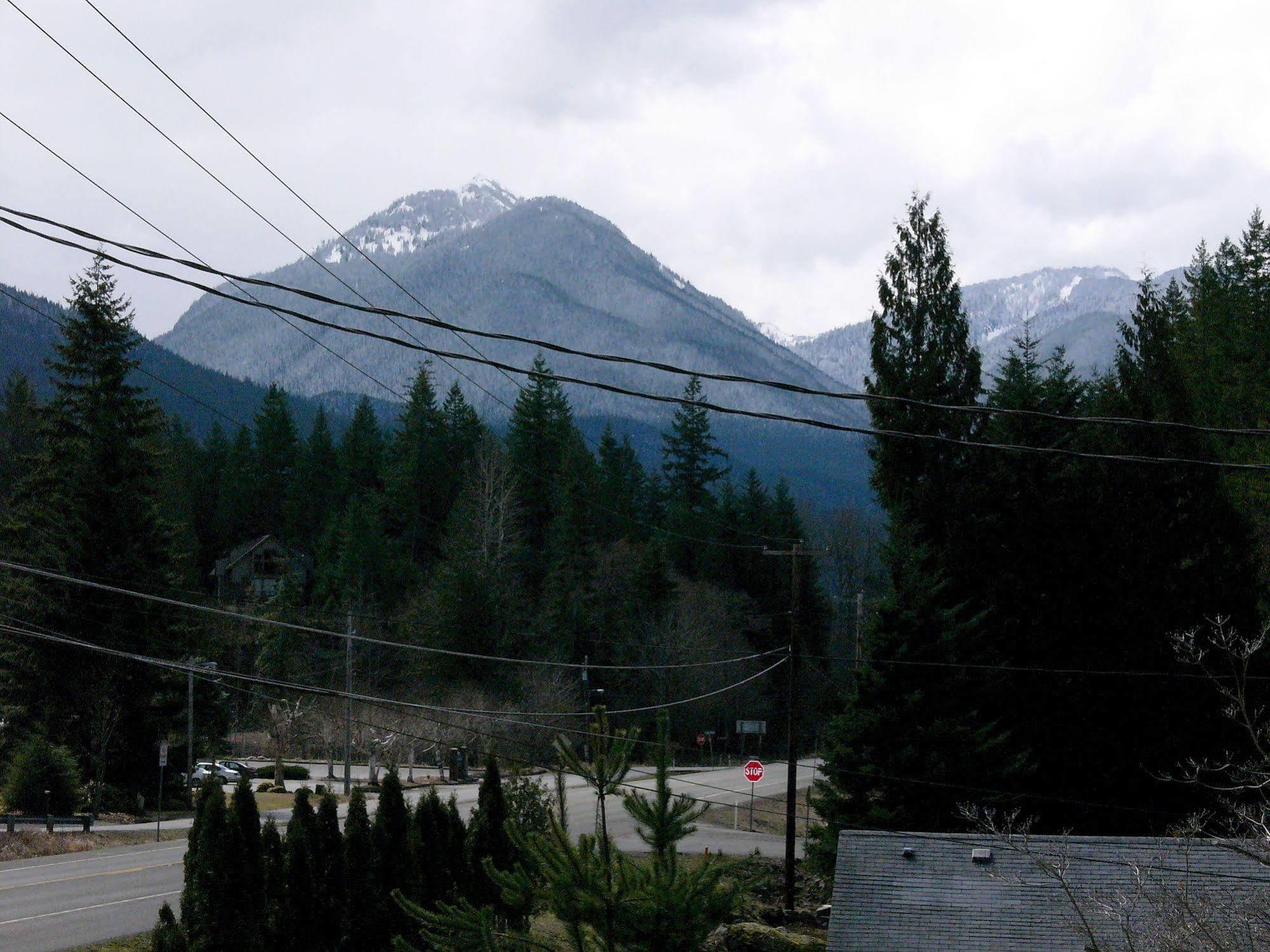 Mountain View Lodge - No Pets Allowed Packwood Esterno foto